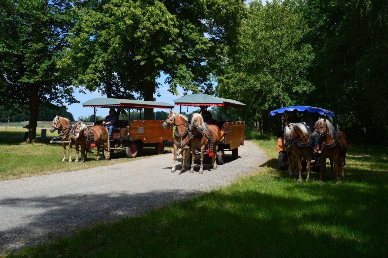 Ferienhaus Am Park Villa Lobnitz  Bagian luar foto